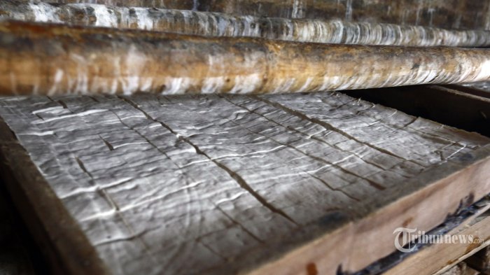 Harga Kedelai Diperkirakan Turun November dan Desember Ini