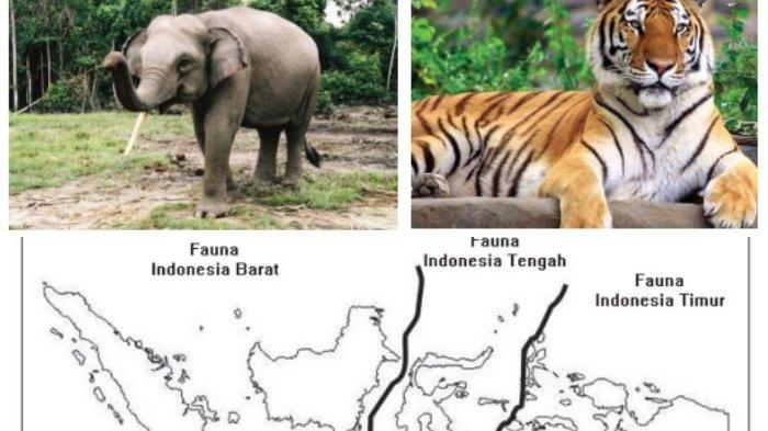 Persebaran Keanekaragaman Hayati Flora dan Fauna di Indonesia