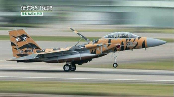 Pesawat tempur F15 milik angkatan udara Jepang (ASDF).
