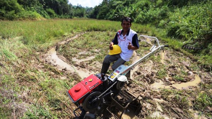 Inspirasi Praktik Bertani yang Lestari dari Kalbar
