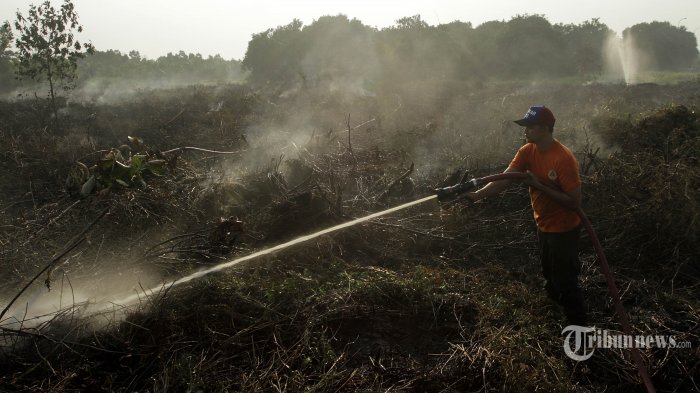 Ada 14 Titik Panas Terdeteksi di Wilayah Sumatera