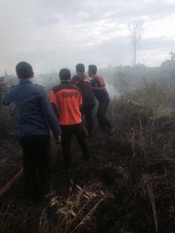 Lima Hektare Lahan Gambut di Tanjung Jabung Barat Terbakar