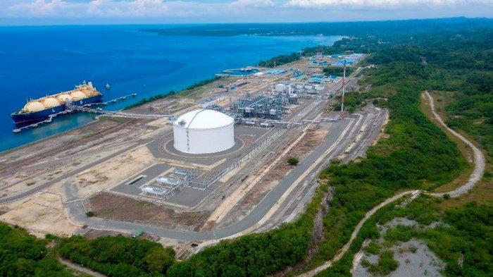 Optimalkan Portofolio Hilir, PGN Kejar Pengembangan Bisnis Global LNG