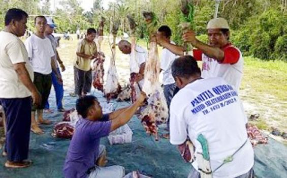Harga Timah Pengaruhi Jumlah Hewan Kurban