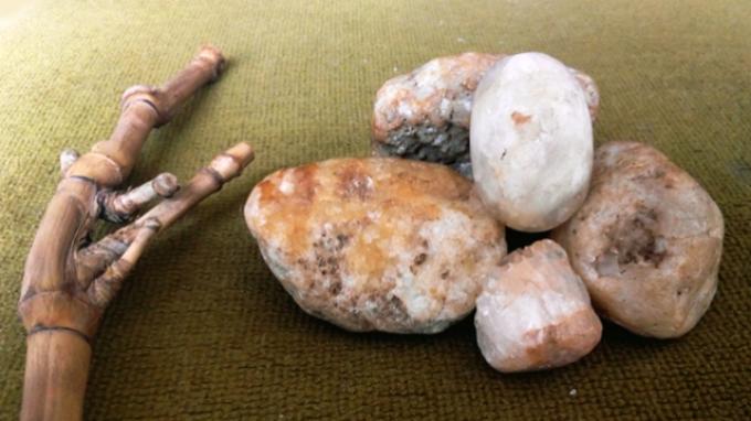 Ternyata Batu Itu Fosil Mani Gajah