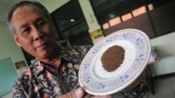 Prof Djoko 18 Tahun Pelototi Daun Teh Hijau