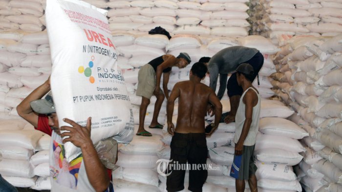 Stok Mencapai 589 Ribu Ton, Pupuk Indonesia Jamin Kebutuhan Pupuk Subsidi Tercukupi Hingga Awal 2023
