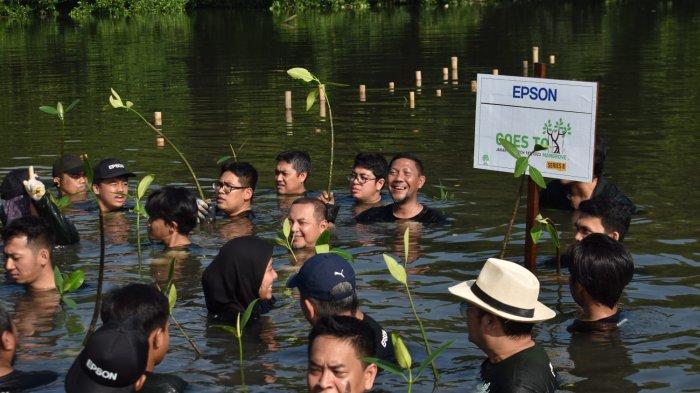 Lanjutkan Penghijauan, Epson Indonesia Tanam 6000 Pohon dan Rehabilitasi Mangrove