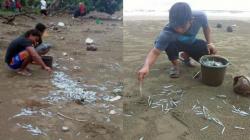 Ribuan Jarum Suntik Bekas Berserakan di Pantai Cengkrong Trenggalek