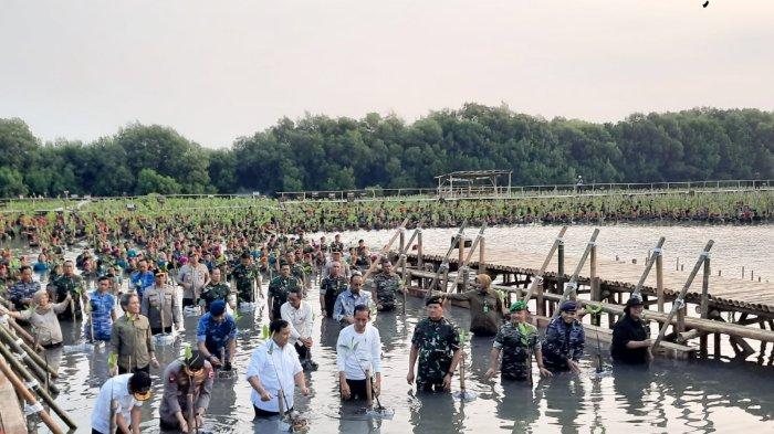 Saat Jokowi dan Prabowo Nyebur Tanam Mangrove