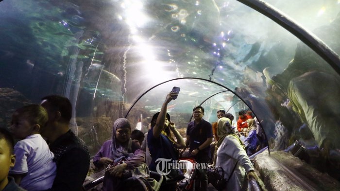Sea World Ancol, satu tempat wisata terbaik di Jakarta buat dikunjungi saat liburan akhir tahun.