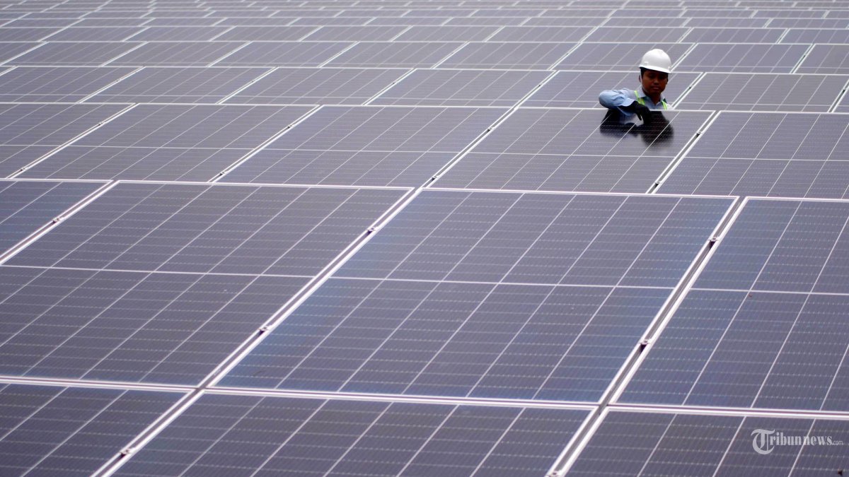 10.550 PANEL SURYA - Petugas melakukan perawatan di panel surya milik PT HM Sampoerna Tbk. yang meresmikan 10.550 panel surya yang dipasang di atas tanah (ground-mounted solar panel) di kawasan fasilitas produksinya di Pasuruan, Jumat (1/12/2023). Inisiatif ini merupakan bagian dari upaya Sampoerna untuk mencapai target netralitas karbon di fasilitas produksinya pada tahun 2025. Panel surya tersebut terpasang di area seluas 7 hektar dengan kapasitas listrik sebesar 7 Megawatt peak (MWp) atau setara dengan daya yang dibutuhkan untuk mengaliri lebih dari 12.000 rumah sederhana. SURYA/AHMAD ZAIMUL HAQ