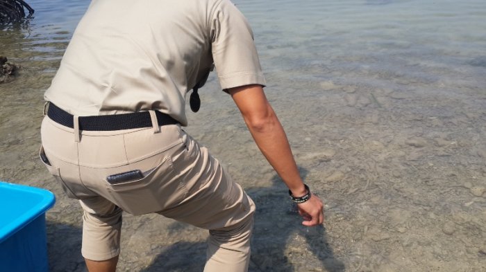 Sandi Lepas 'Prabowo dan Jokowi', Ini Candaannya