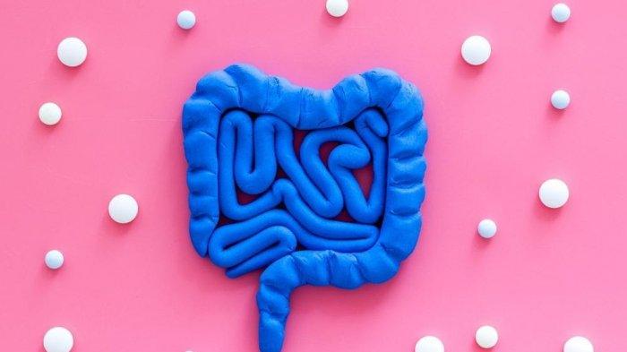 Mengetahui Gejala Penyakit Usus Buntu, Penyebab hingga Cara Mencegahnya