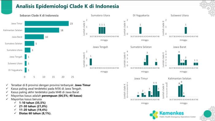 SEBARAN SUPER FLU - Kementerian Kesehatan (Kemenkes RI) membeberkan sebaran kasus super flu subclade K di Indonesia.