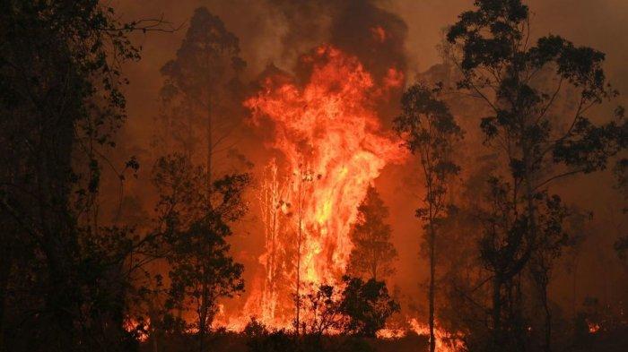 Dampak Kebakaran Hutan Australia, Kualitas Udara Buruk, Lomba Pacuan Kuda & Kolam Pemandian Ditutup