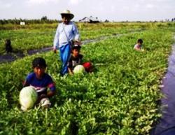 Mengidupkan Kembali Jiwa Agraria Nusantara