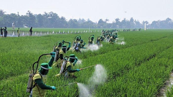 Wujudkan Swasembada, APROPI Dukung Upaya Pemerintah Hadirkan Pestisida Terjangkau dan Berkualitas
