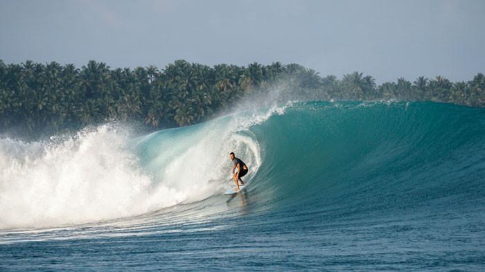 surfing 221025