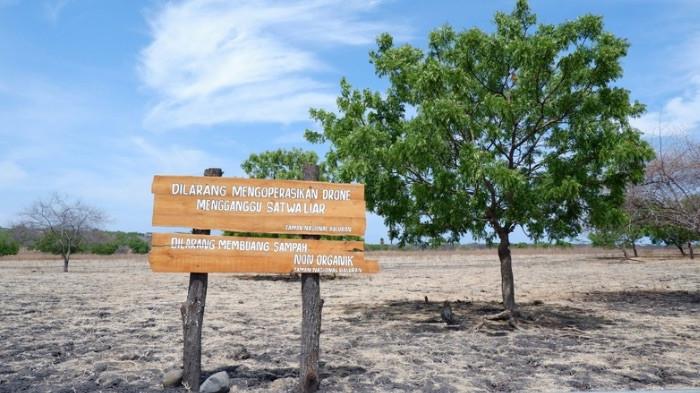 taman nasional balur savana