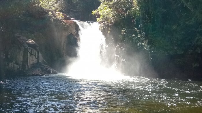 Ekspedisi Riam Berasap TN Gunung Palung Wujudkan Wisata Alam Primadona