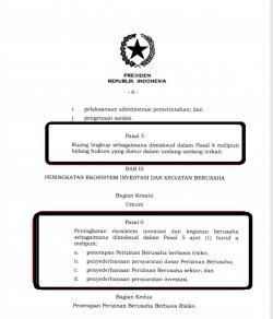 Ekonom INDEF: Pasal 161 UU Cipta Kerja Janggal, Urusan Audit Lembaga Bukan Kewenangan BPK