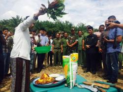 Masyarakat Kurang Mampu Dapat Hibah Tempat Pelatihan Budidaya Jagung