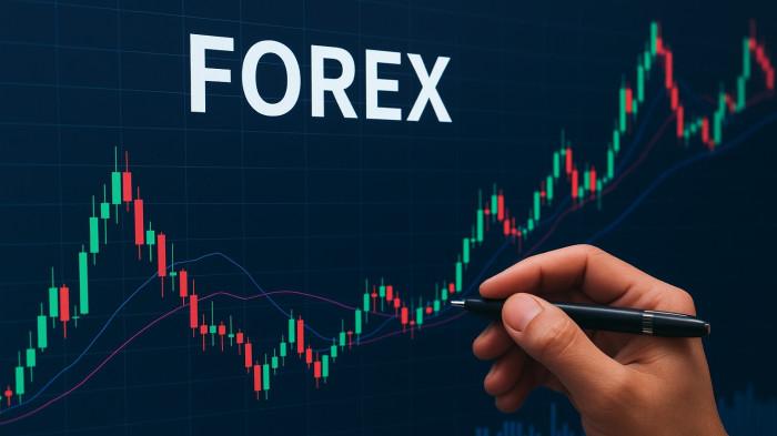 Edukasi Jadi Kunci Tekan Kerugian dalam Trading Forex Bagi Pemula