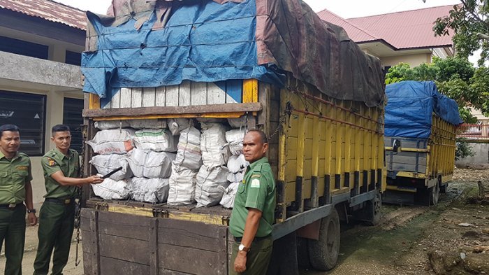 Petugas Pengelolaan Hutan Amankan Truk Bermuatan 12 Ton Arang Bakau