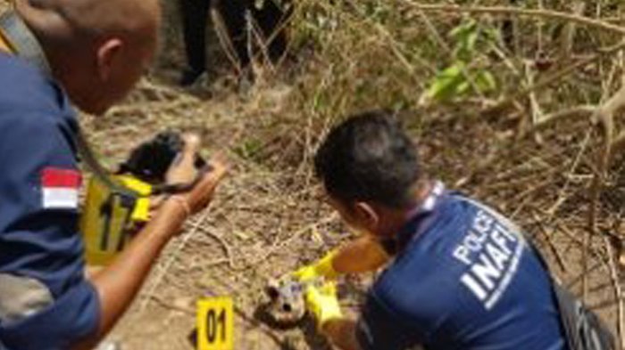 Widiarsana Yakin Tengkorak yang Tercecer di Hutan TNBB adalah Ayahnya yang Hilang 2 Tahun Lalu