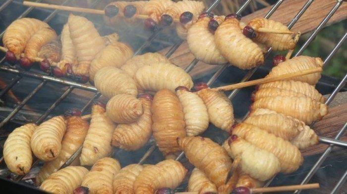 Ulat sagu viral jadi bekal anak SD ke sekolah, ternyata banyak kandungan gizinya.