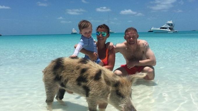 Keluarga Wayne Rooney Renang Bareng Babi di Bahama