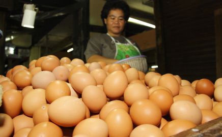 Kepala Bapanas Klaim Harga Telur Ayam Naik karena Program MBG