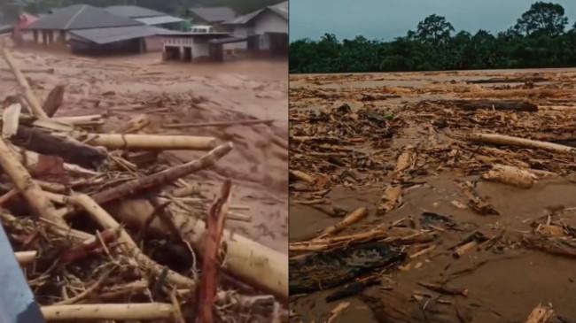 Kayu Gelondongan Berserakan saat Banjir di Sumatera, Berasal dari Praktik Illegal Logging?
