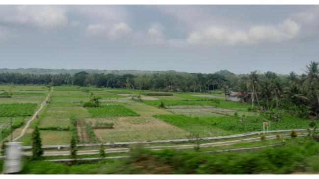 Prakiraan Cuaca Kota Bogor Jumat, 21 November 2025, Pagi Berawan Tebal, Siang Hujan Ringan