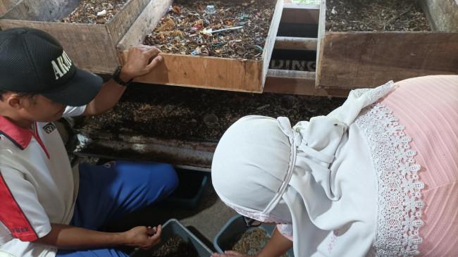 Maggot, Biogas, PLTS, dan Asa dari Desa Energi Berdikari Sobokerto