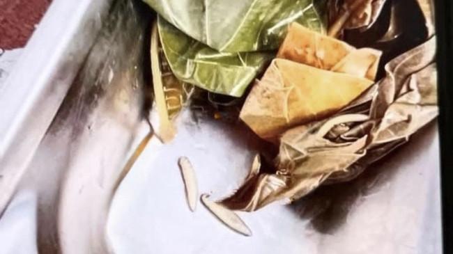 Kasus Temuan Ulat di Menu MBG di Bangkalan Madura, SPPG Sebut Bisa Dikonsumsi dan Tinggi Protein