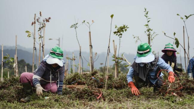 Investasi Hijau EIGER Adventure Land: Mengubah Konflik Agraria Menjadi Ekowisata Bermakna