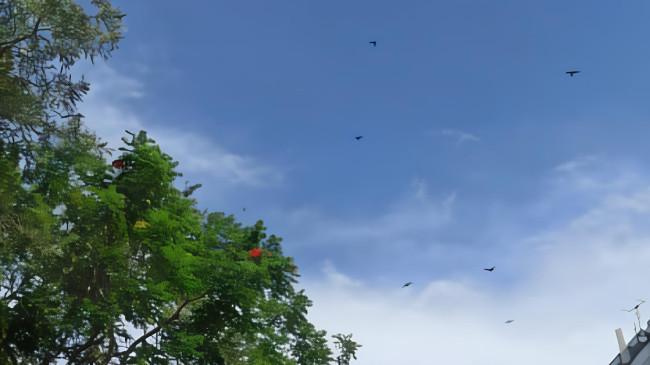 Prakiraan Cuaca Medan Jumat, 31 Oktober 2025: Cerah Sepanjang Hari