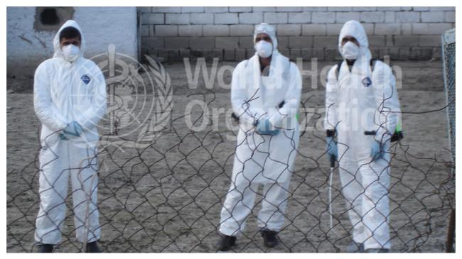 Warga Washington Terjangkit Virus yang Belum Pernah Ditemukan pada Manusia Sebelumnya