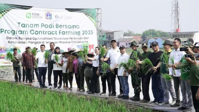 Jakarta Perkuat Ketahanan Pangan Lewat Contract Farming dan Optimalisasi Lahan Sawah