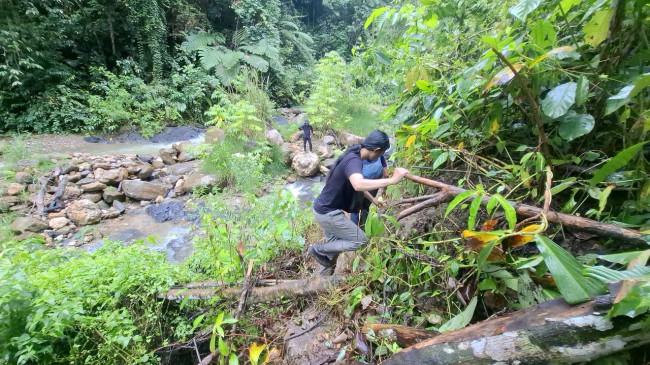Ekspedisi Ladang Ganja Terbesar di Gunung Leuser Aceh: 15 Jam Darat, Jurang hingga Harimau Mengintai