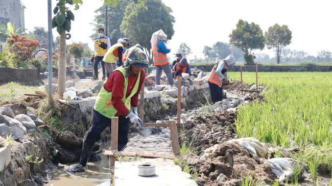 Dukung Ketahanan Pangan, Progam P3-TGAI Perkuat Infrastruktur Irigasi di 9.597 Lokasi 