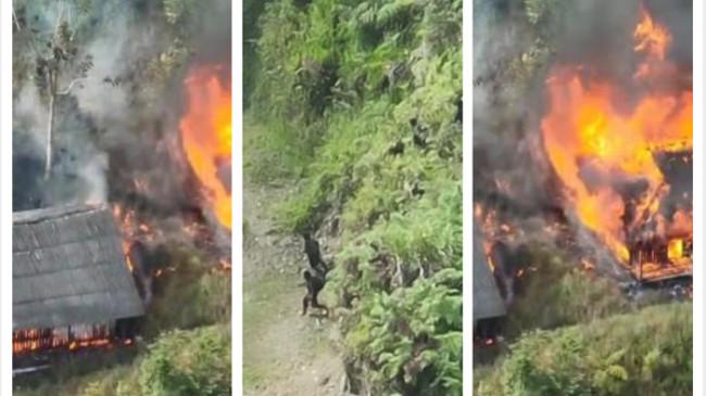 Mengenal KKB Ngalum Kupel Pimpinan Lamek Taplo, Diduga Pelaku Pembakaran SMP di Kiwirok Papua