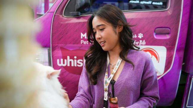 Pemenuhan Nutrisi Tepat Jadi Tantangan Kesehatan Kucing di Indonesia