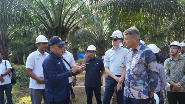 Kunjungi Perkebunan PTPN IV, Dubes Uni Eropa Tekankan Pentingnya Pilar Industri Sawit Berkelanjutan