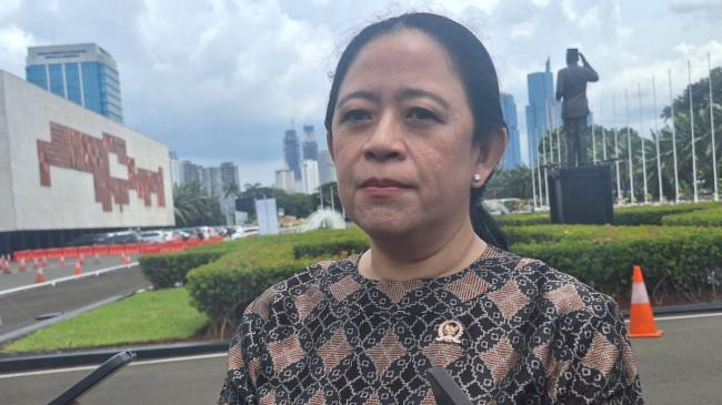 Puan Tegaskan Pembahasan KUHAP Sudah Penuhi Unsur Meaningful Participation, Apa Itu?