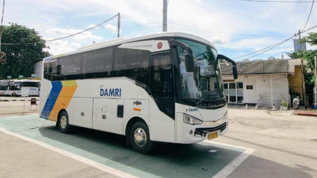 Damri Buka Rekrutmen Staf Analis Pengembangan Usaha, Ini Syarat dan Cara Daftarnya