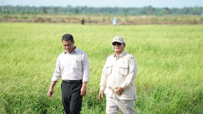 Said Didu: Langkah Mentan Amran Sejalan dengan Arah Presiden Prabowo Berantas Serakahnomics