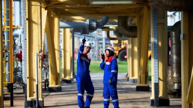 PGN Catat Penurunan Emisi 24.861 Ton CO₂e, Lampaui Target Perusahaan